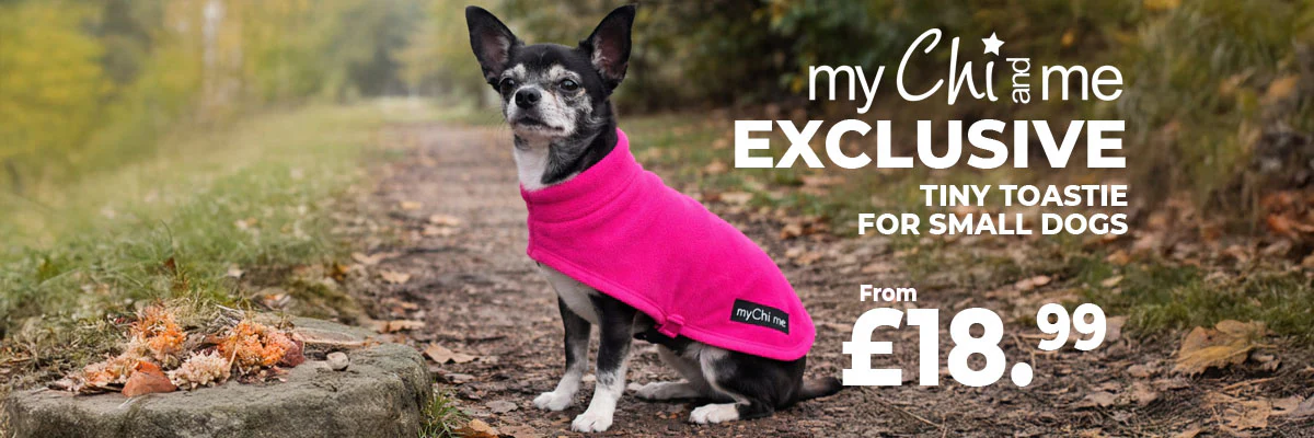 Big Style for Tiny Dogs