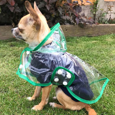 Thumbnail 8